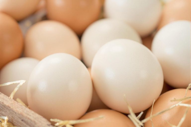 les œufs de catégorie a ont plusieurs caractéristiques lesquelles