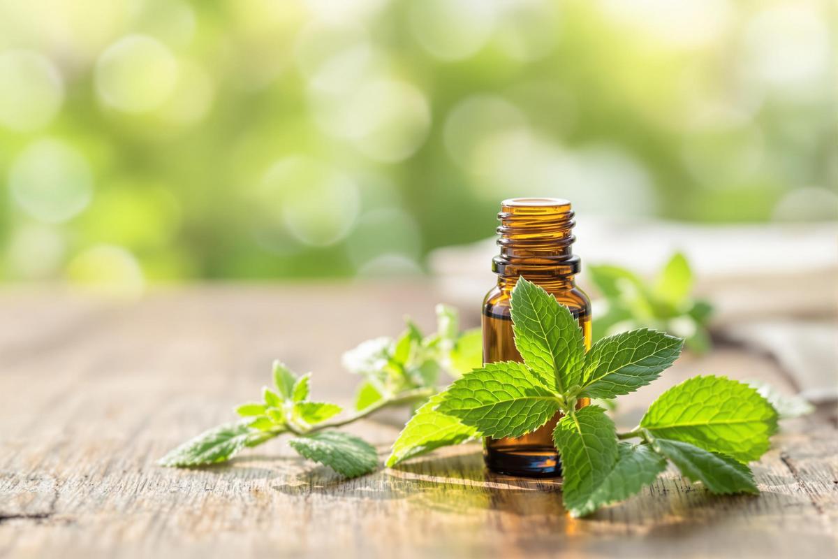 Danger huile essentielle menthe poivrée ?